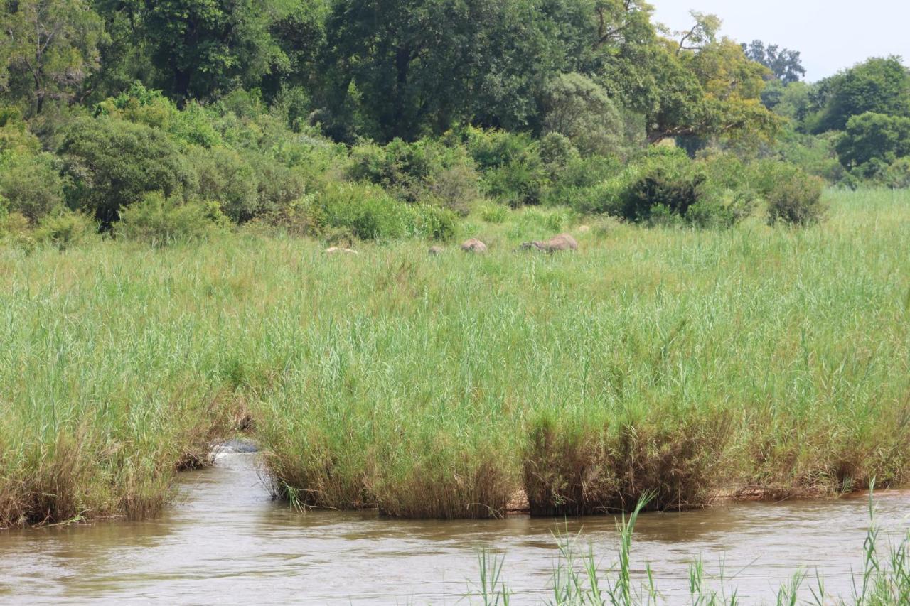 Sabie River Bush Lodge Hazyview Εξωτερικό φωτογραφία
